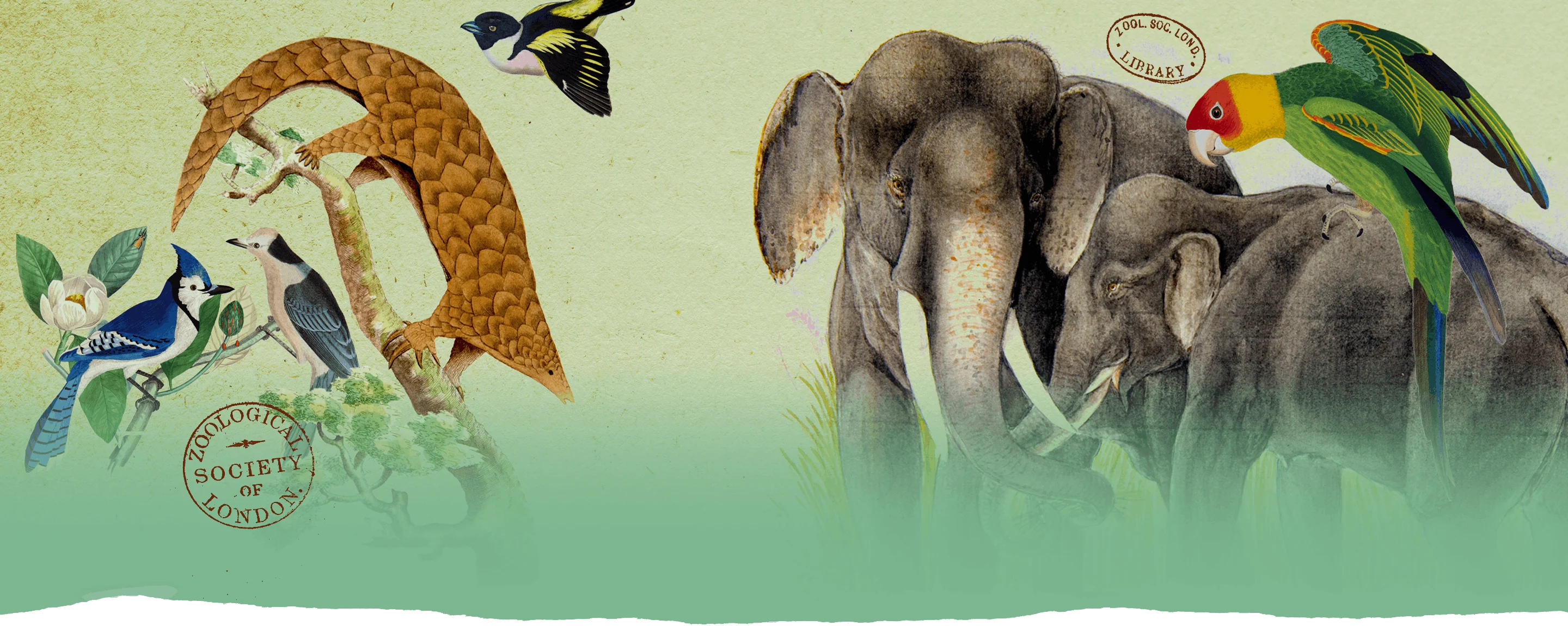 Welcome to Our Store